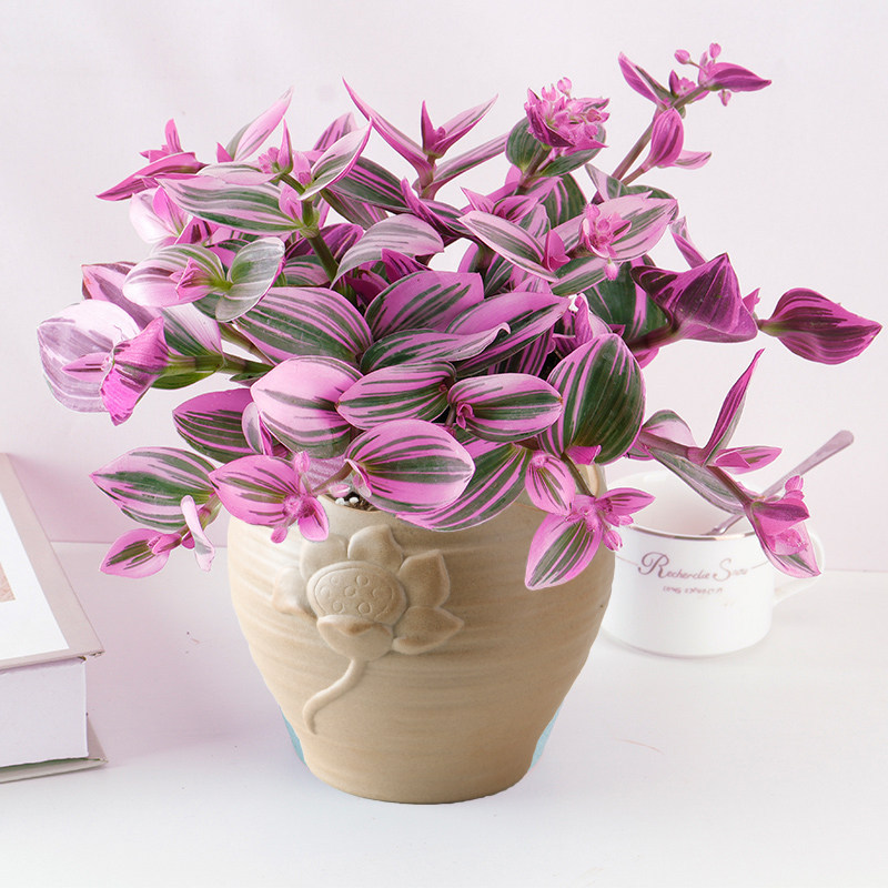 客厅好看的观赏花,小清新唯美油画花