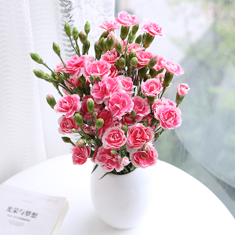 又香又适合阳台养的花,什么带香味的花室内养好看