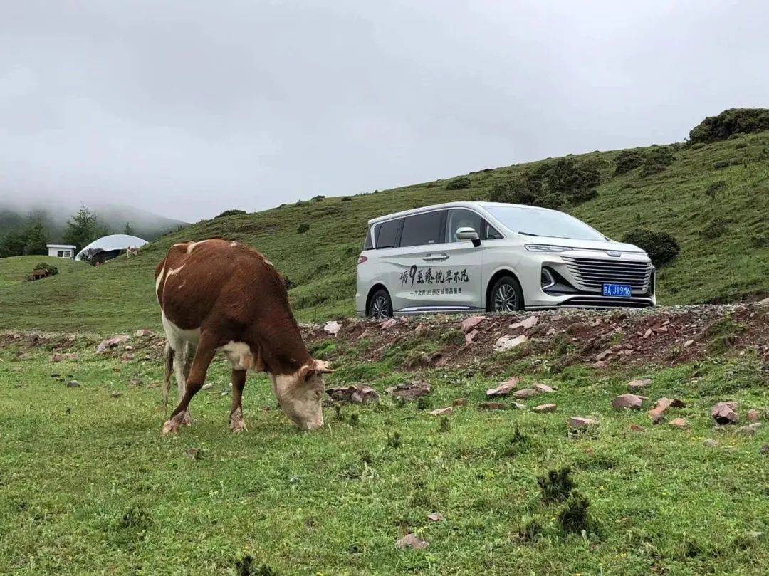 奔腾M9试驾,一汽奔腾m9试驾视频