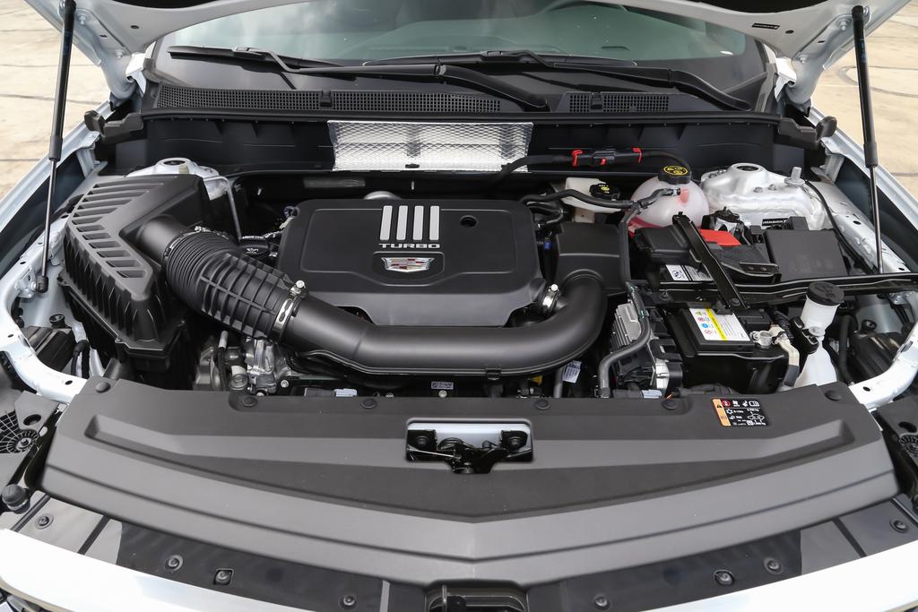 精油推背就出痧,精油推背会越推越厚吗