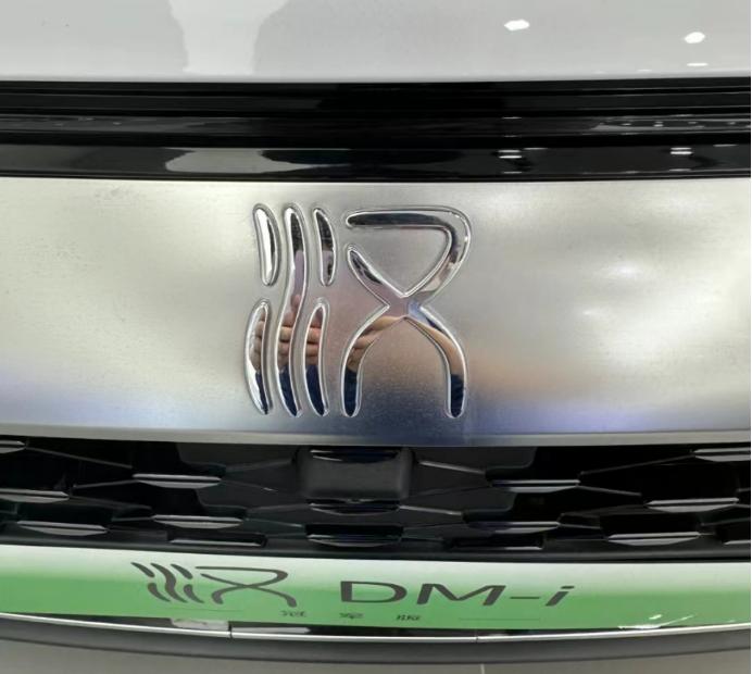 汉dm四驱性能尊贵版车主真实感受,汉dm豪华型深度测评