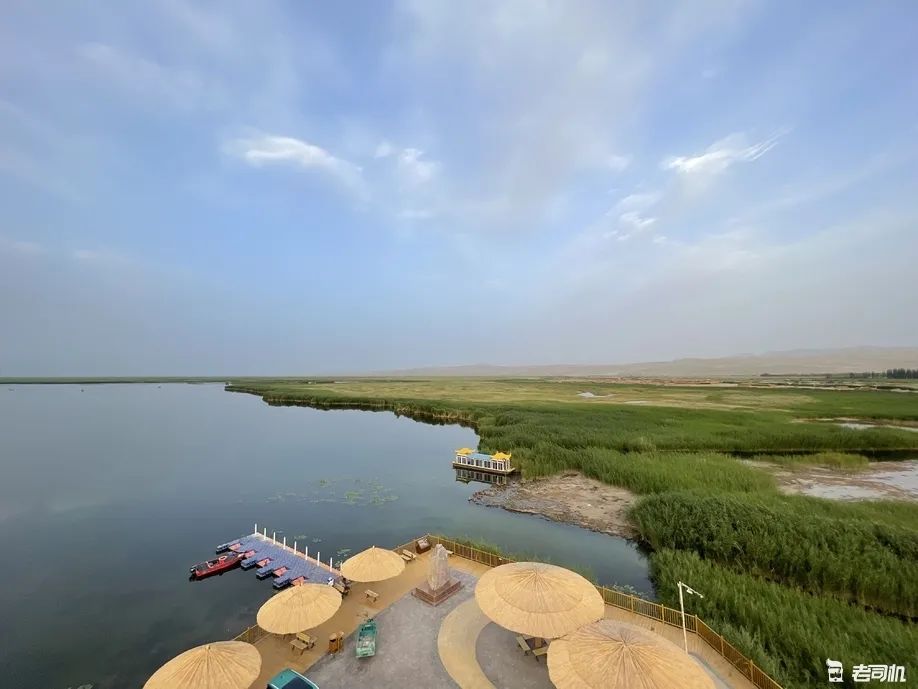 在*疆新**我实现了羊肉自由！顺便穿越了沙漠无人区