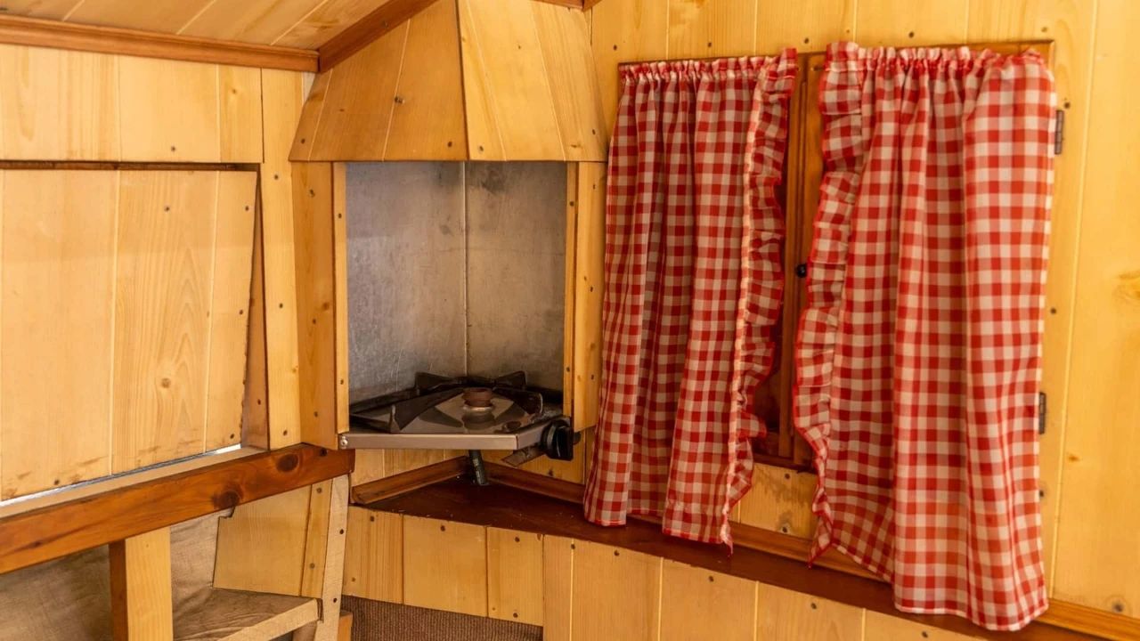 大众甲壳虫露营车,甲壳虫车适合的帐篷