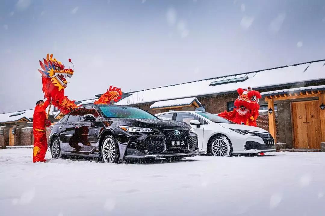 亚洲龙气势,亚洲狮五项全能