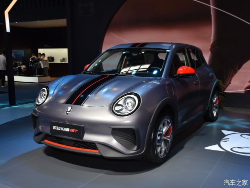 小姐姐的小猫咪,可爱的小野猫小姐姐