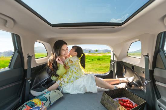 动力强劲又省油的suv,动力强劲最省油新款中高档混动车