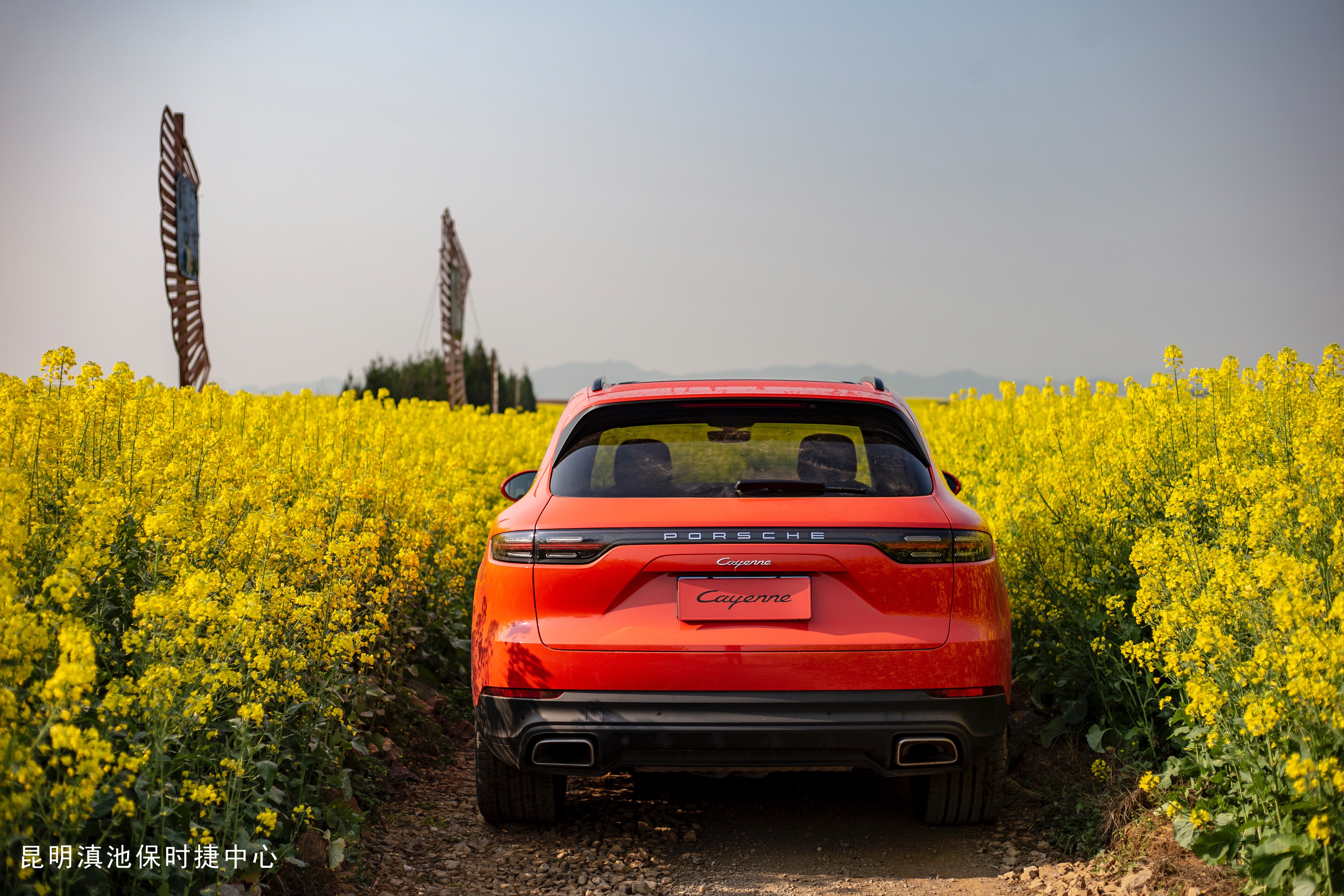 不止眼前的苟且还有诗和远方许巍,生活不止眼前的苟且许巍