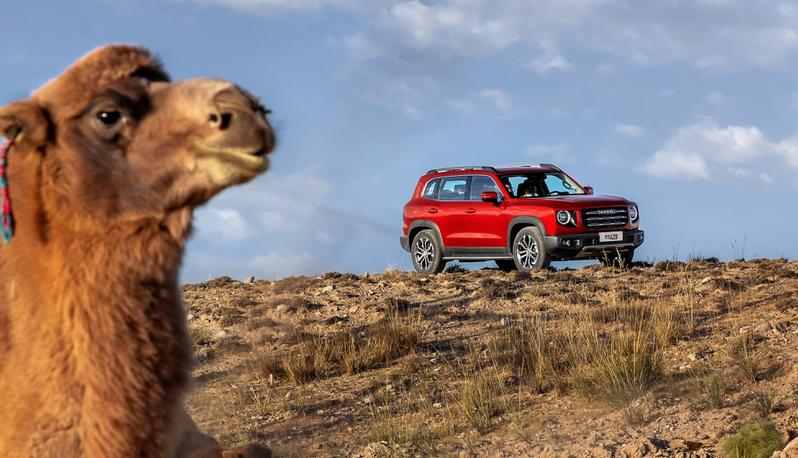 哈弗大狗升级全时四驱,哈弗大狗能不能变成全时四驱