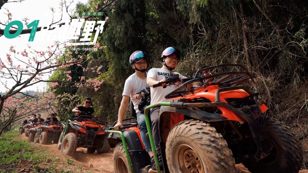 春日旅游踏青计划,春日自驾游活动主题