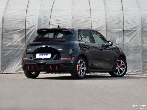 小姐姐的小猫咪,可爱的小野猫小姐姐