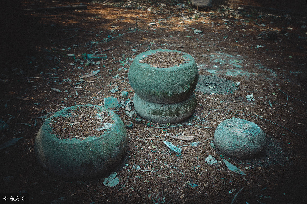 小说：什么？知府大人管不了县令，还被他逼着说出与家中母狗通奸