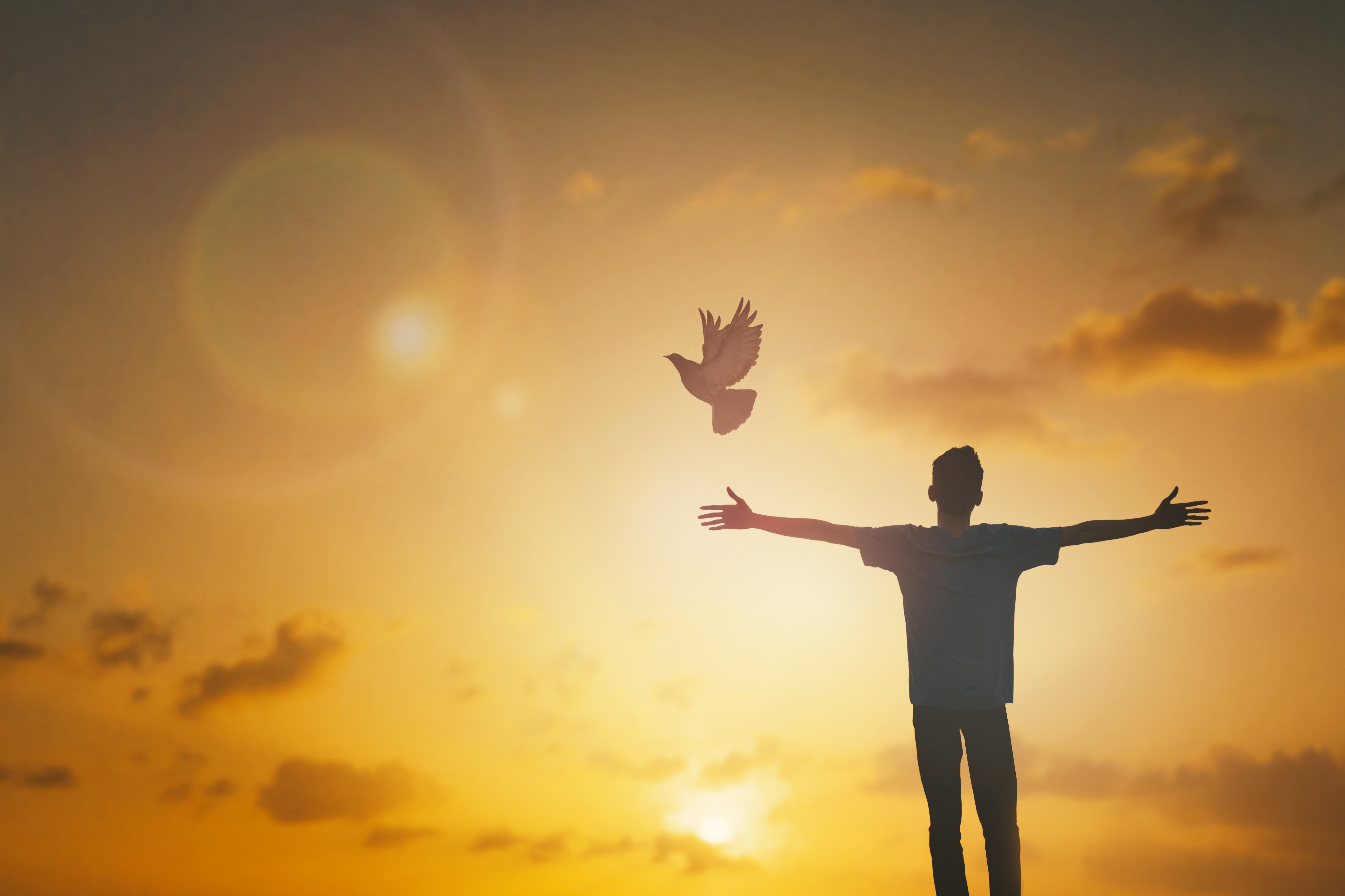 夏洛蒂勃朗特笔下的女人,英国作家夏洛蒂作品