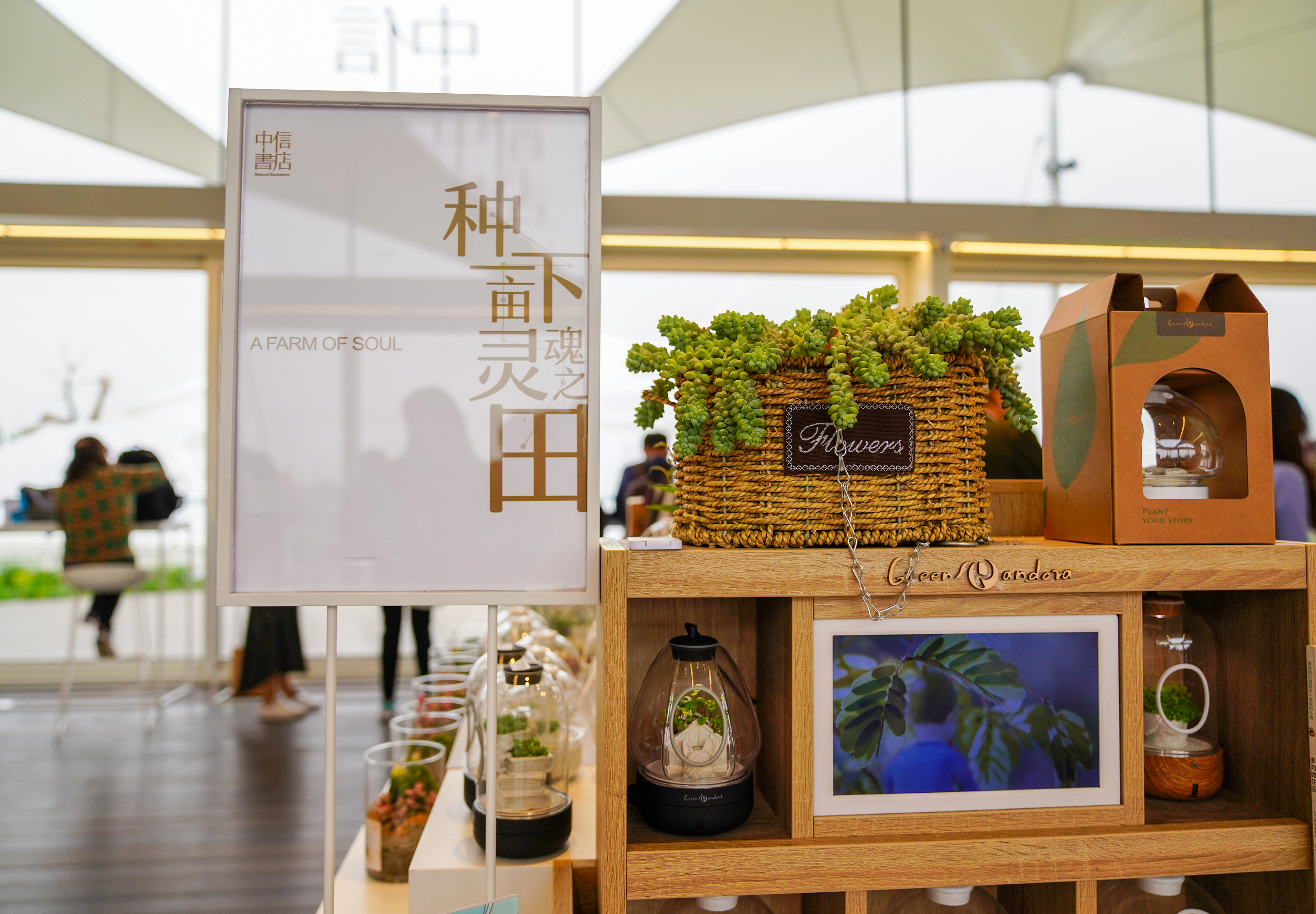 中英文双语经典故事绘本简单,中英文双语经典故事书籍