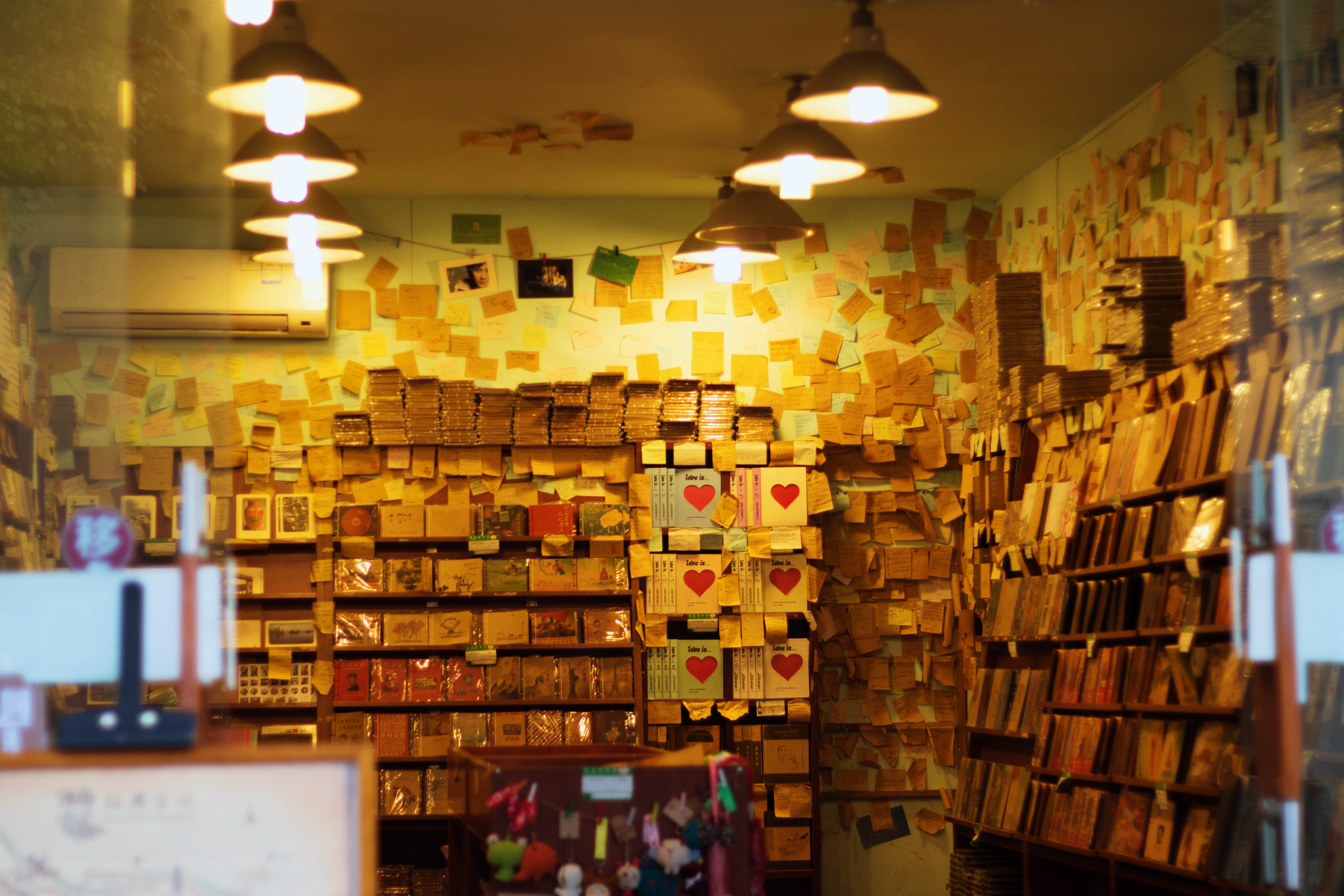 小说女主容貌不变长生不老,小说女生容貌