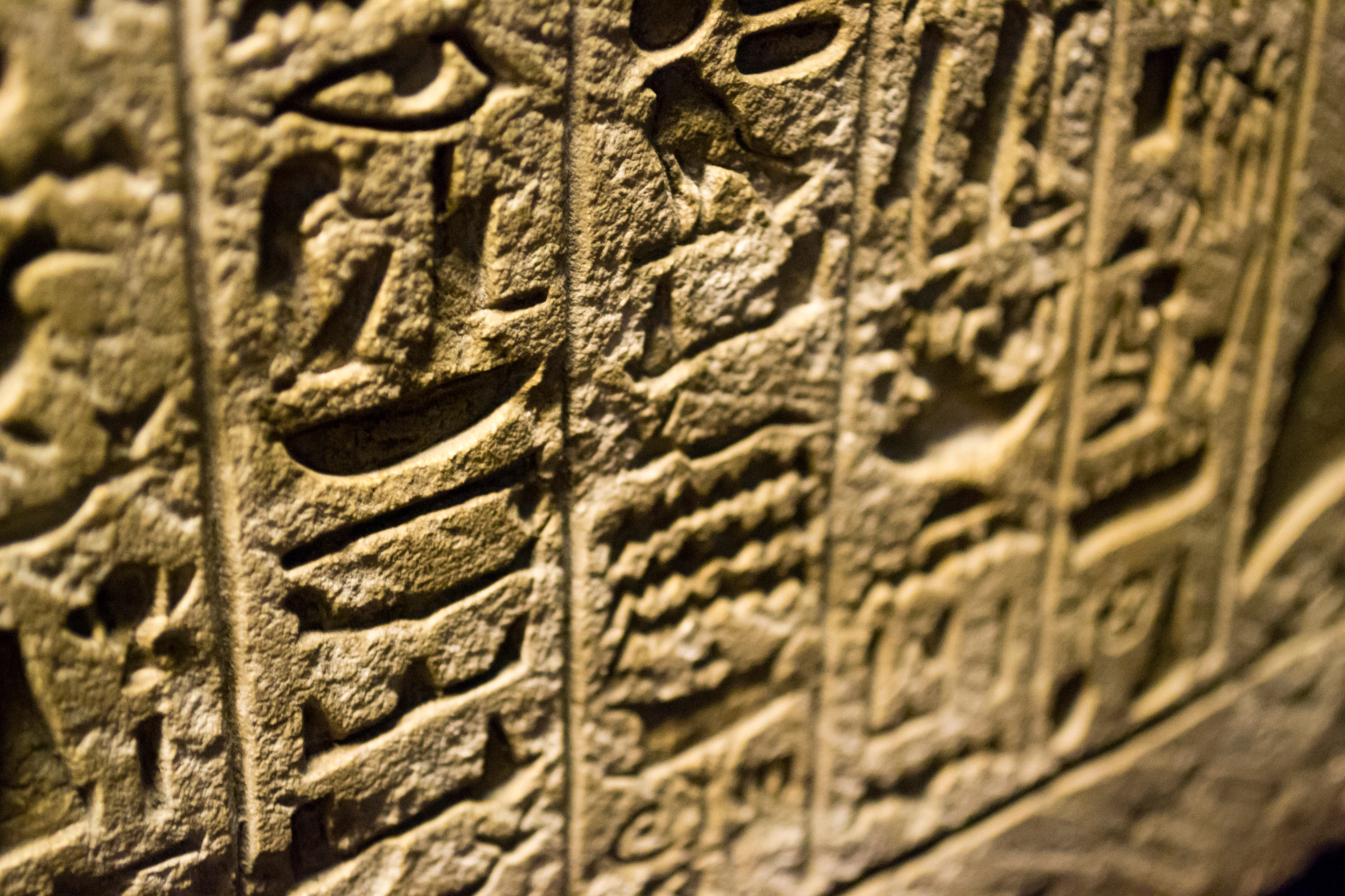 青年侠客,女高中生被便衣警察跟踪