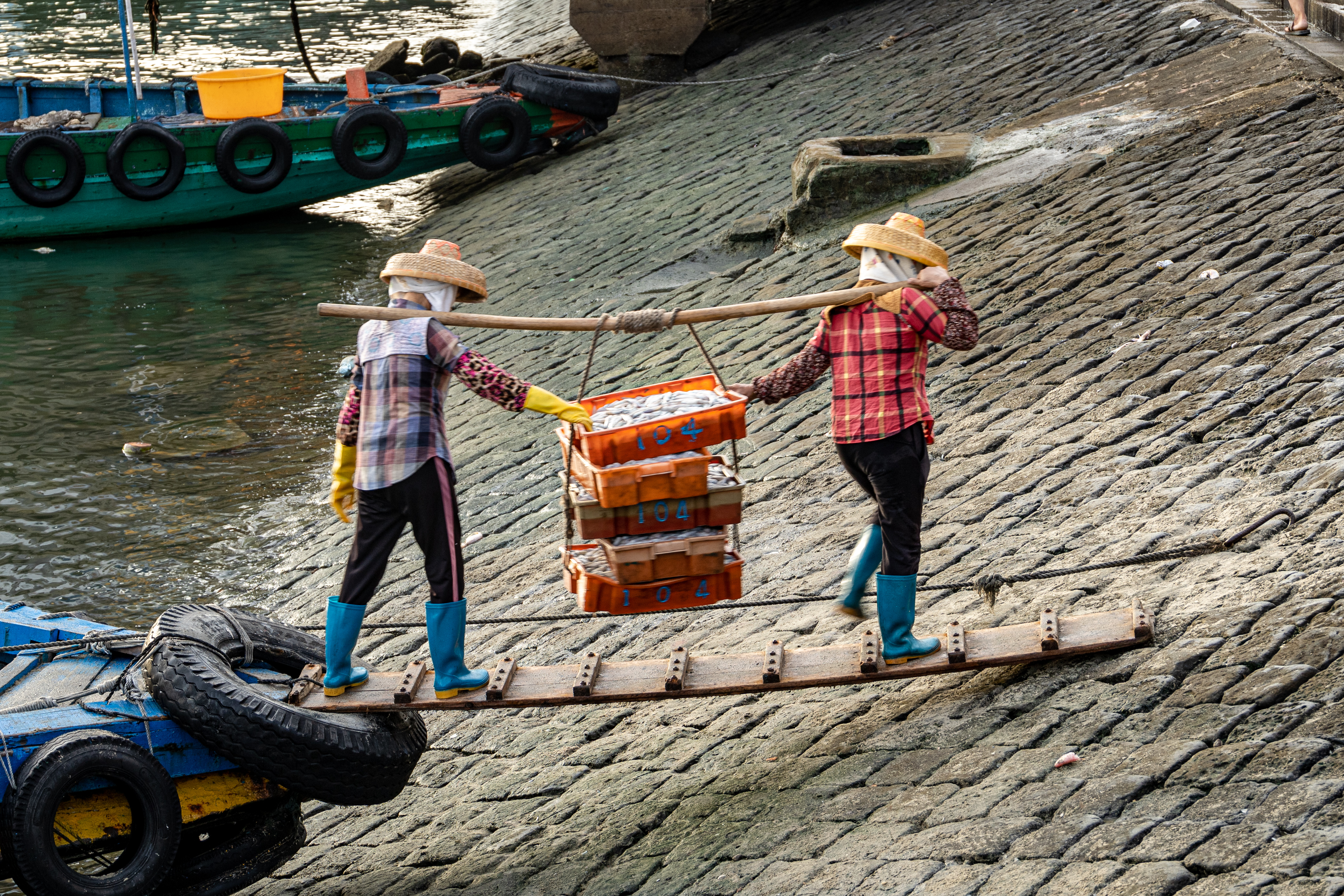 第二家园2024,第二家白眼狼合集