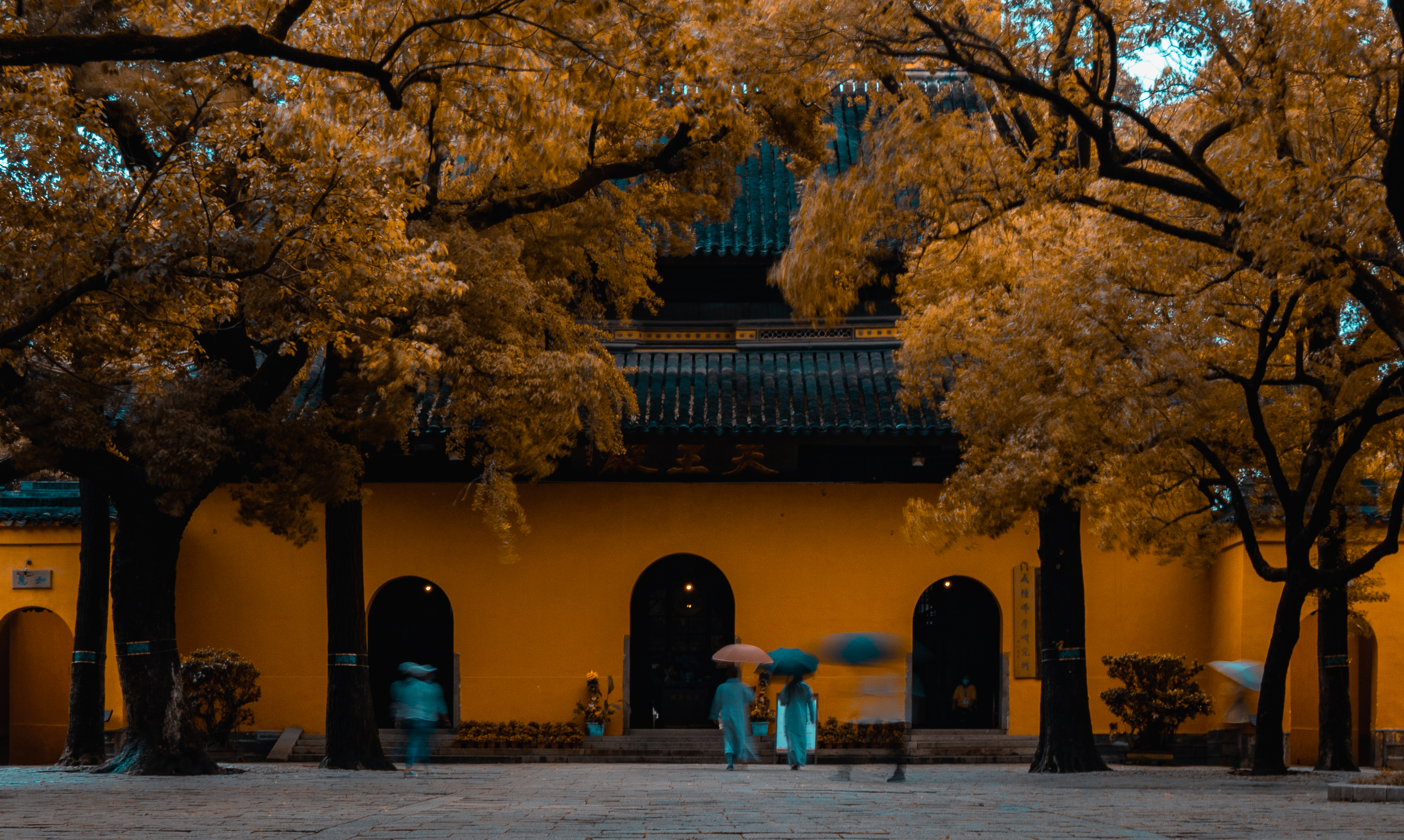 很多人以为，出版审读就是找错别字，其实有些门道，你看了才能懂