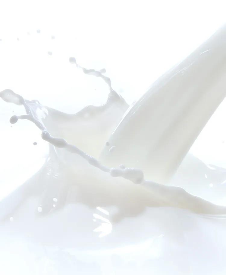 蛋糕界中的爱马仕上海,堪称全球蛋糕店里的爱马仕