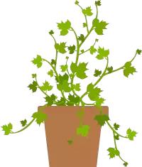 一个人越活越幸福的10个小习惯,哈佛大学让自己变幸福的20件小事