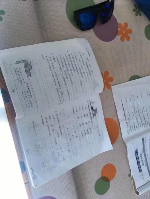 全网最惨小学生原视频,全网最惨小学生原版视频