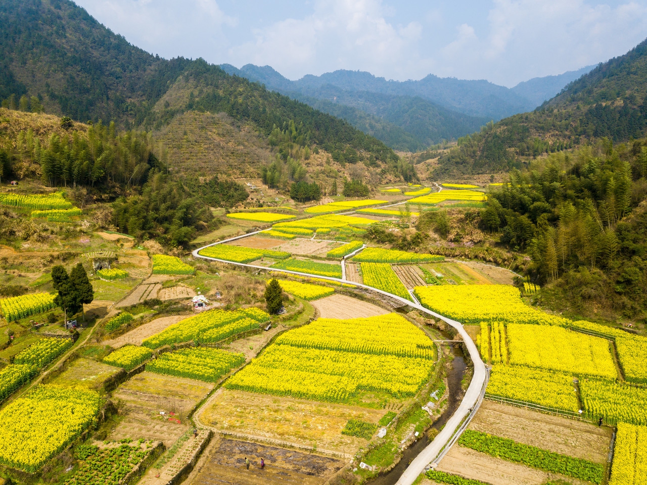 中医风药,中医药治风剂分类