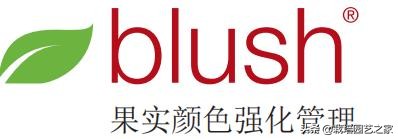 葡萄上色哪种最好,葡萄需要上色的有哪些品种