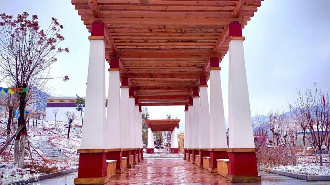 五当召特殊活佛—罗卜生(七)