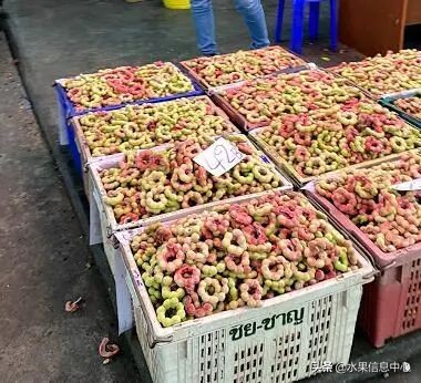 西双版纳水果市场榴莲 (上海亚洲最大的水果批发市场榴莲)