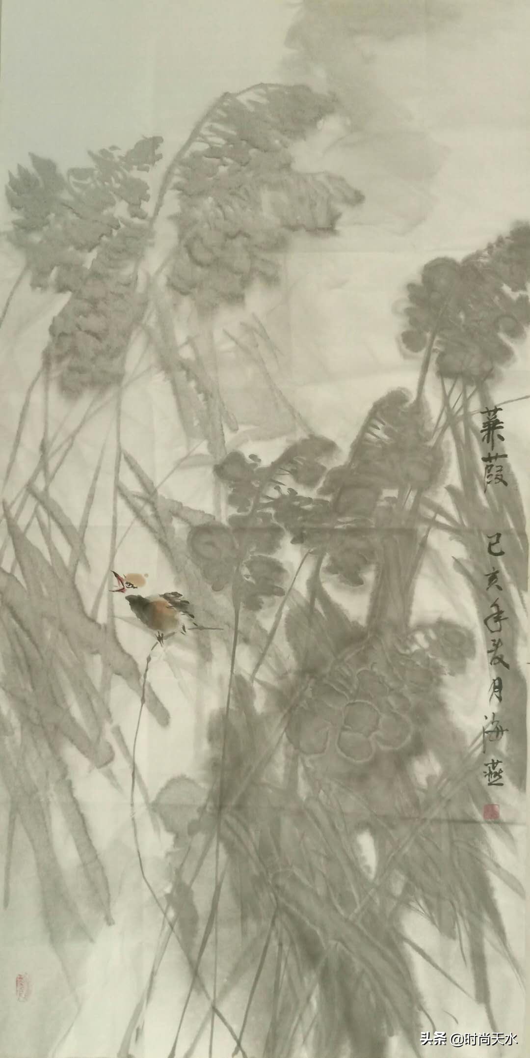 黄海燕牡丹仙子照片,牡丹仙子黄海燕