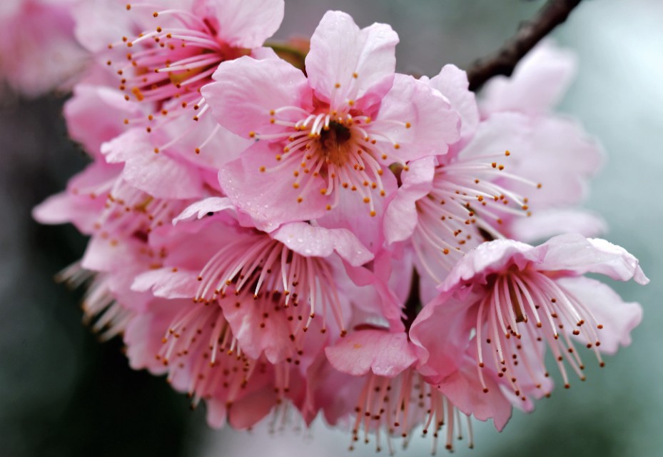 春雨江苏东台,春雨江苏无锡