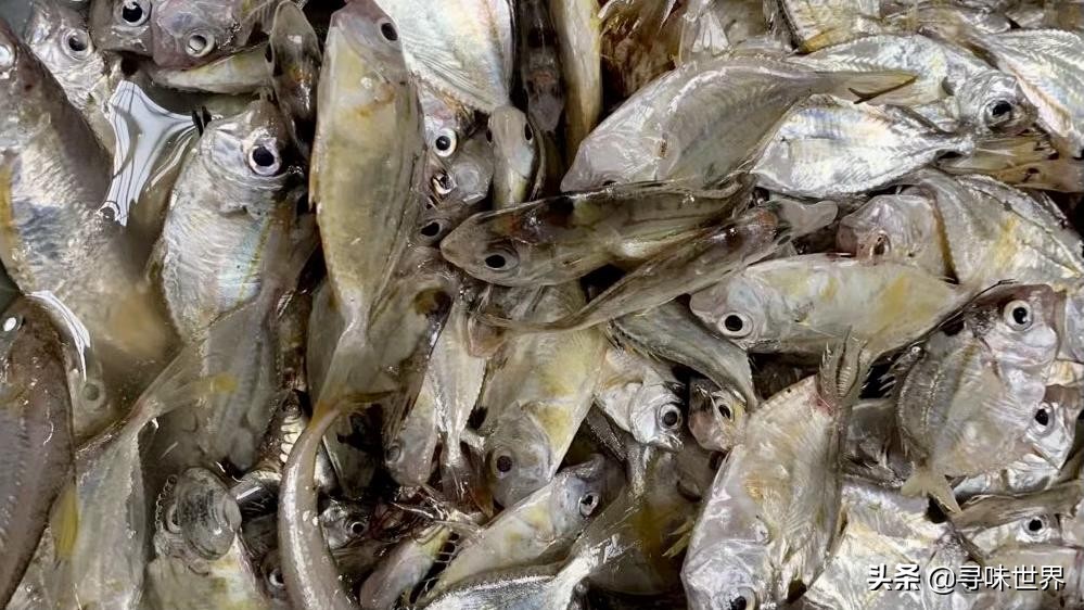 买鱼食内行人专买这十种纯海鱼,内行人就买这5种鱼