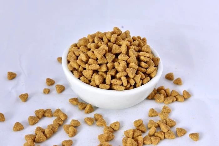 成年猫咪挑食不吃猫粮怎么纠正,猫咪挑食不吃猫粮怎么纠正呢