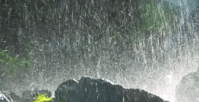 衢州为啥没有衢州鸭头,衢州鸭头不一样