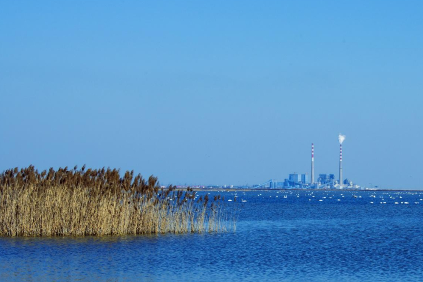 天津将增“顶尖商场”，落户大港区，拟开业时间2021年6月