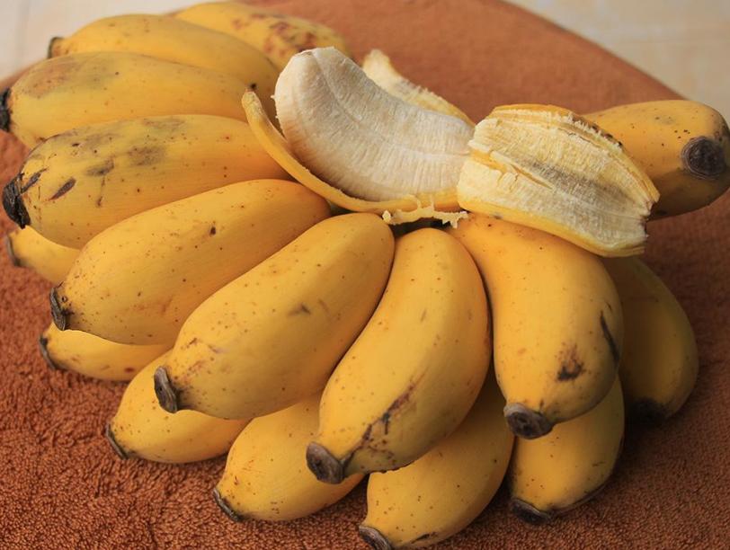 泰国十大小众水果,泰国十大稀有水果