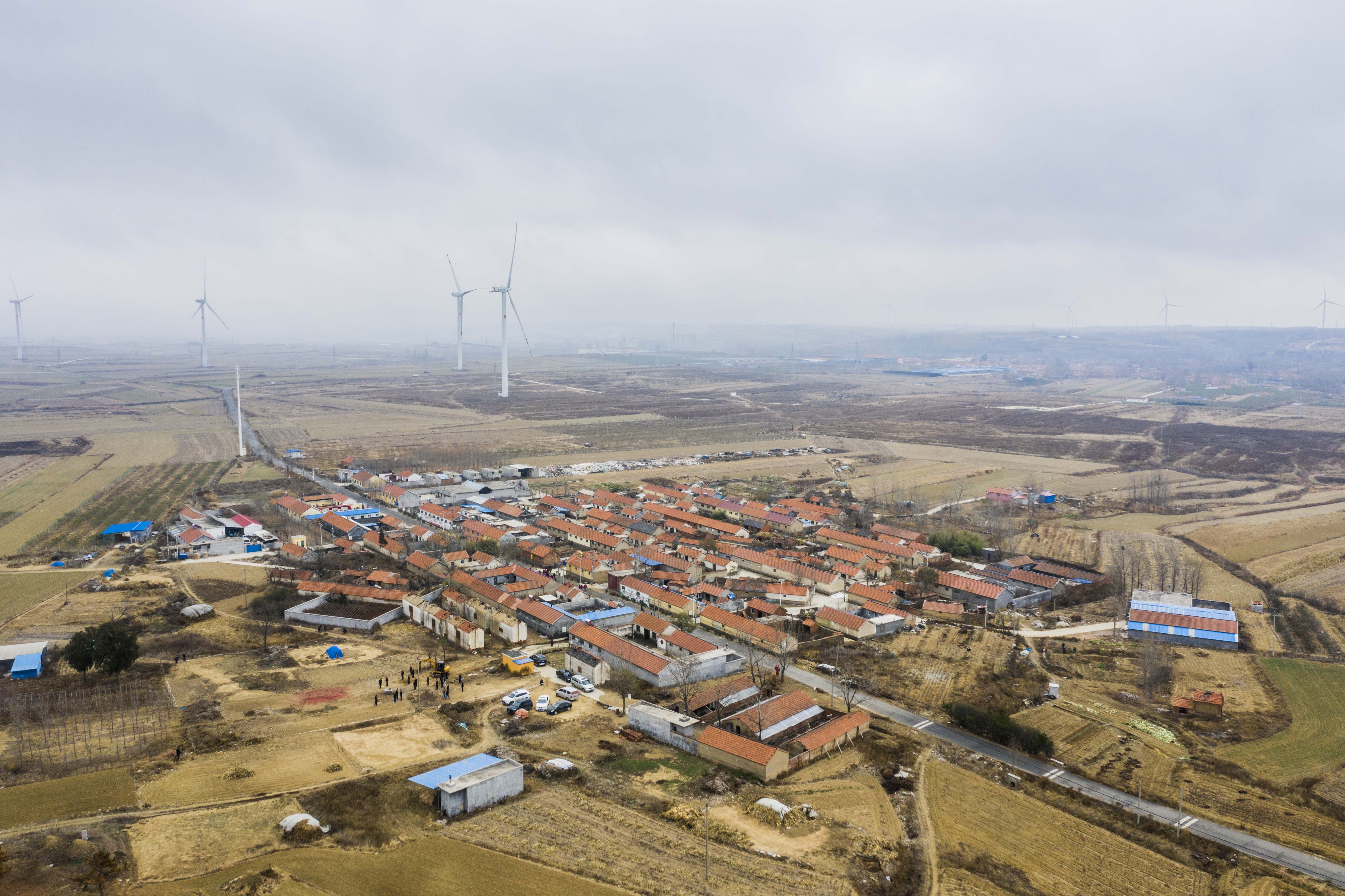 乡村惠民工厂初冬如花绽放,青岛“瑞联合”进荒庄村办厂造福乡梓