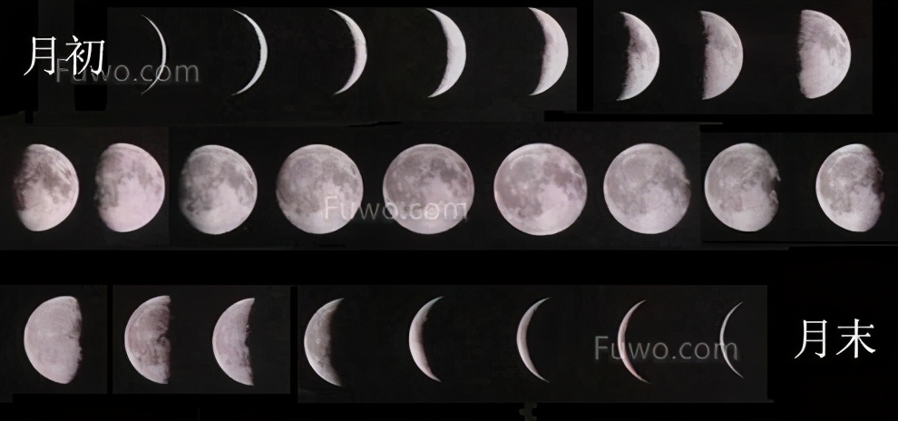 农历太阳历和阴历的区别,干支历与太阳历