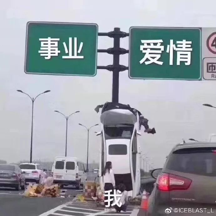 遇到蟑螂该怎么处理快速解决,捉到一只蟑螂怎么办