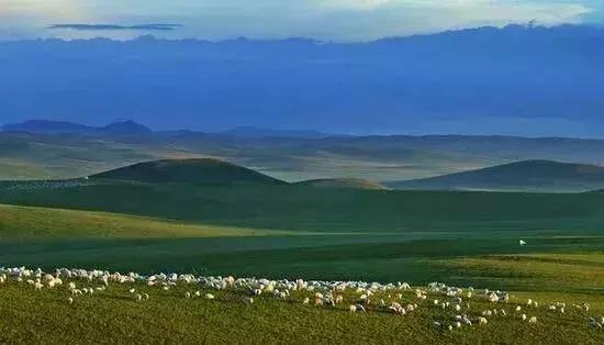 内蒙古通辽景点排名第一的是哪里,内蒙古通辽市旅游景点都有哪些