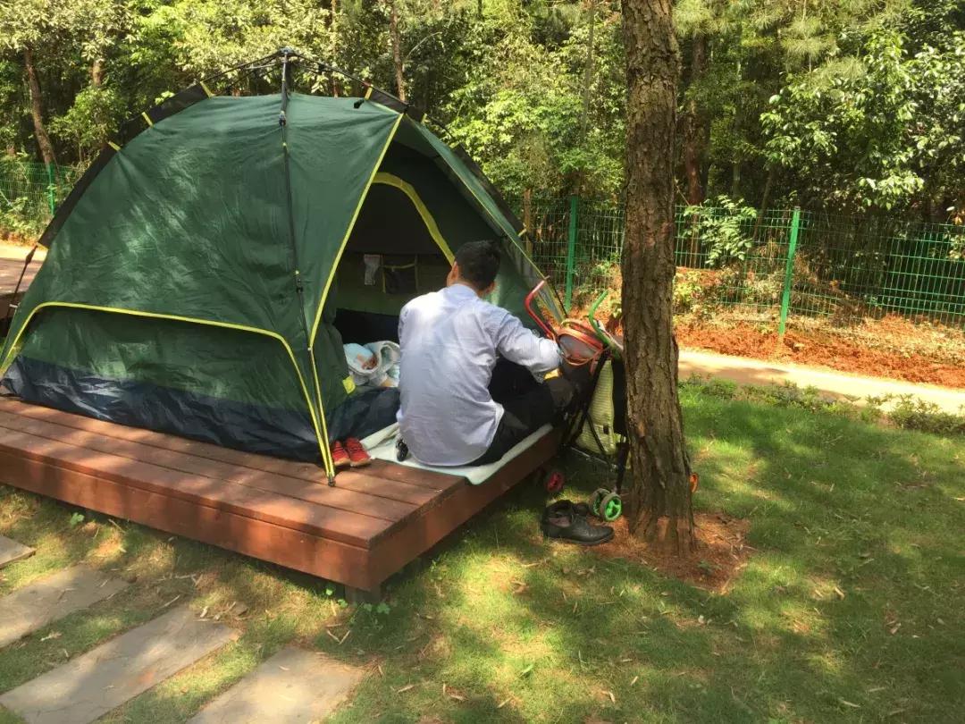 长沙松鼠园游玩攻略,端午长沙再成旅游热门目的地