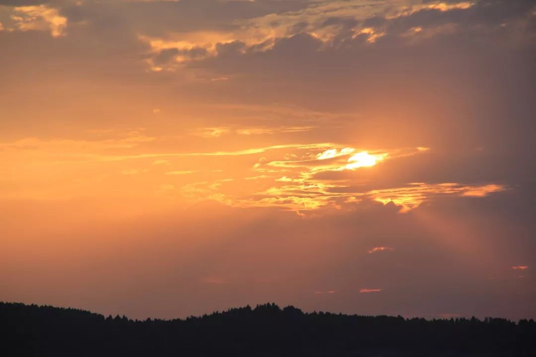 绵阳南山中学学生发言,绵阳南山中学上学感受
