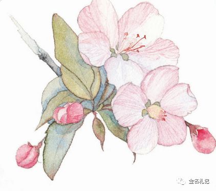 情不知所起一往而深朗读,情不知所起一往而深完整的诗