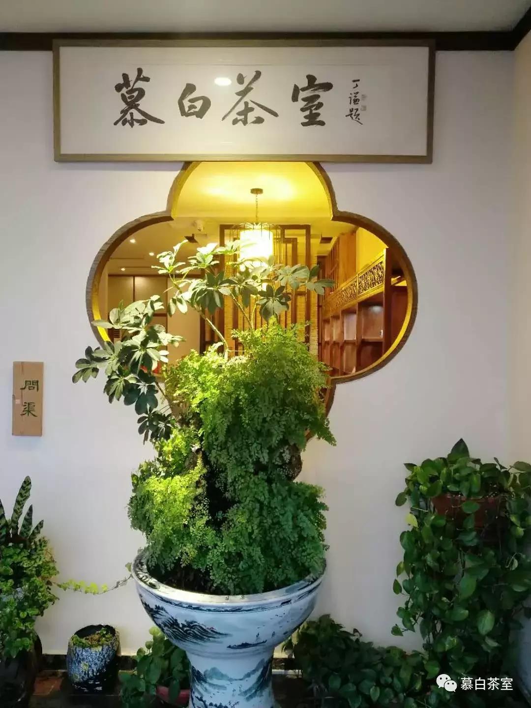 你买的茶叶到底值不值,你买的茶叶好喝吗