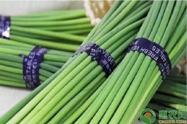 杞县蒜薹今天价格表,杞县蒜薹最新行情价格表