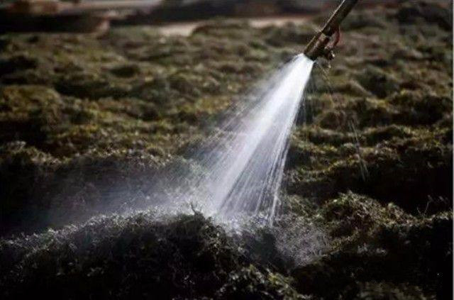 普洱茶熟茶压制方法是什么,普洱生茶紧压茶的正确打开方式