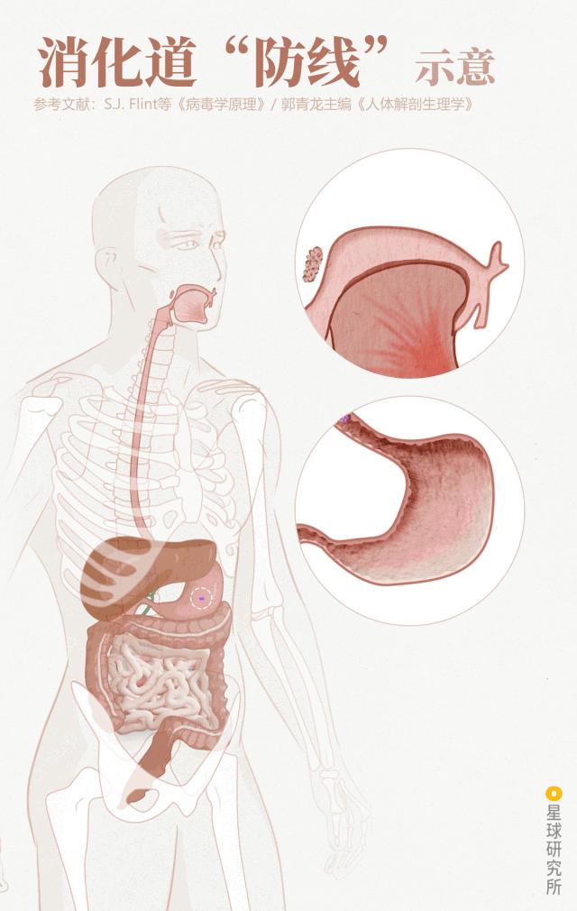 人体防卫战,人体痛点攻击技巧