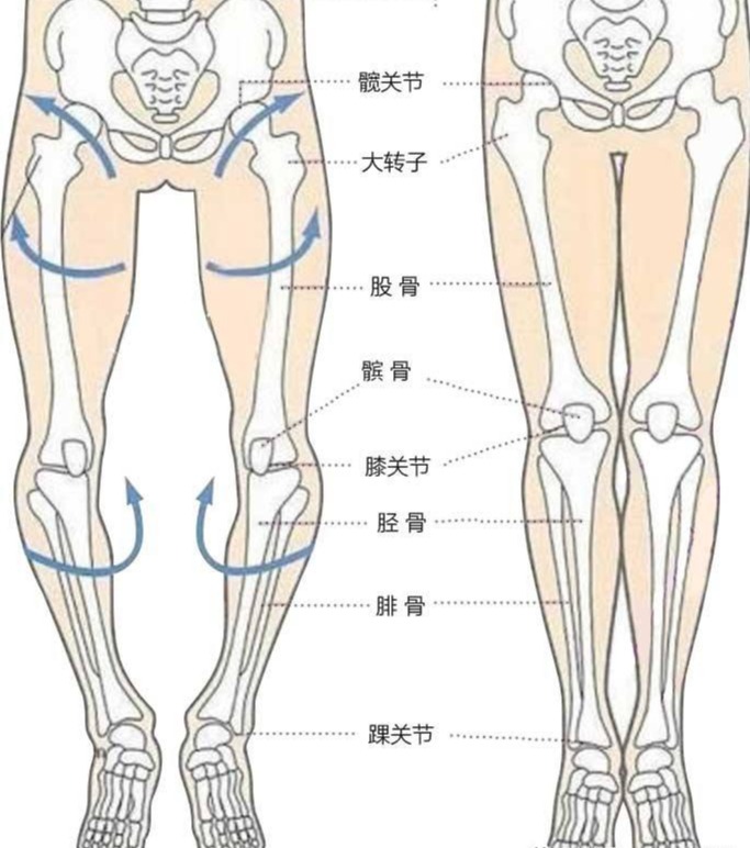 平时不经意的动作习惯让你的膝关节咔咔响和疼,生活中需这样保护