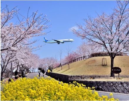 日本成田机场出境全过程,日本成田机场快速入关攻略