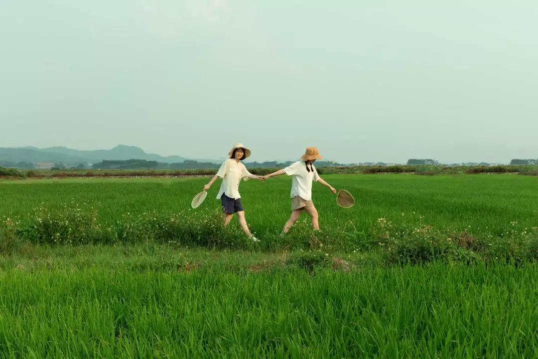 如何拍出原始森林的感觉,怎样拍出森林氛围感大片