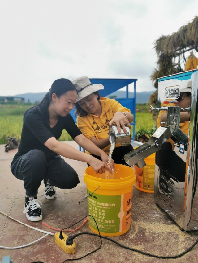 寻甸渔乐谷最新消息,寻甸欢乐世界项目大全